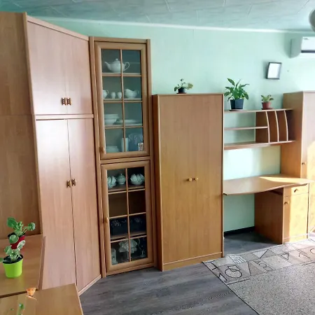 Flower In The Center Of Apartment